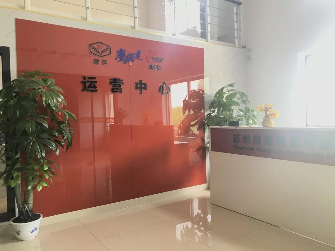 鹰诺达  鹰诺达