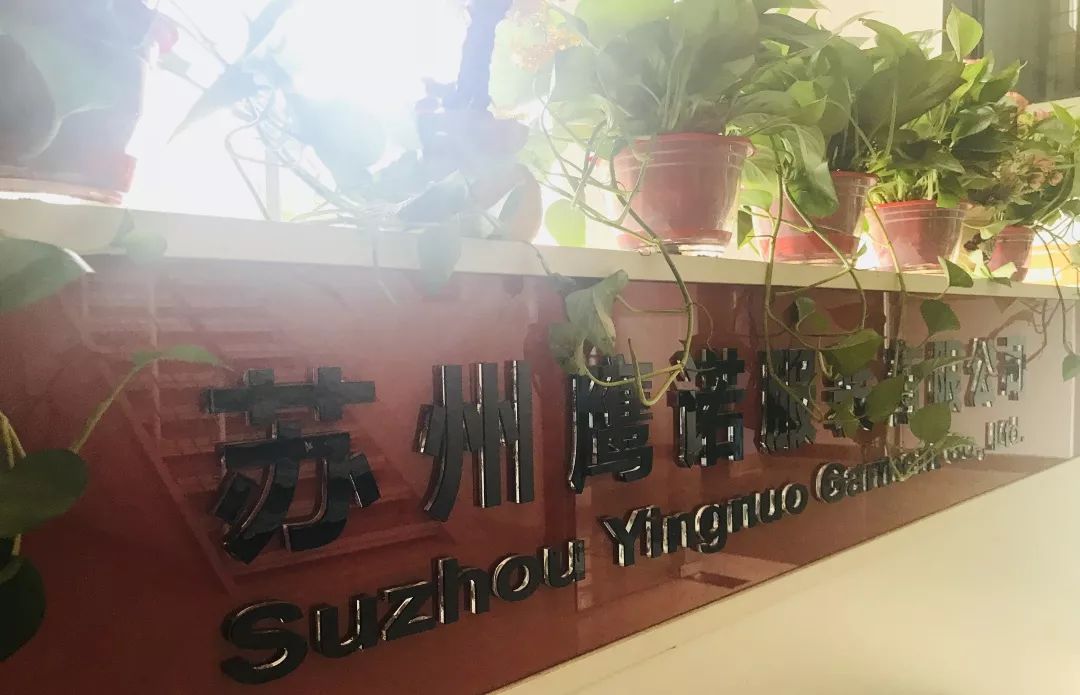 鹰诺达  鹰诺达
